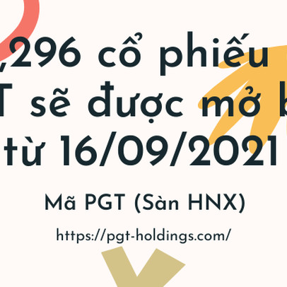 Hơn 230 nghìn cổ phiếu quỹ PGT dự định sẽ được chào bán