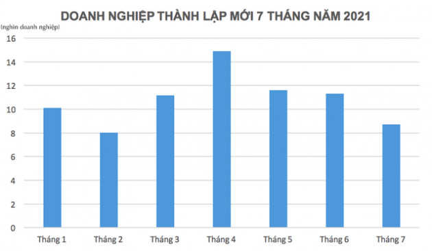 Hơn 29% doanh nghiệp rút lui khỏi thị trường trong 7 tháng đầu năm là ở TP.HCM - Ảnh 1.