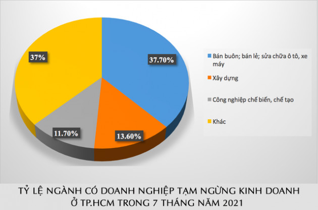 Hơn 29% doanh nghiệp rút lui khỏi thị trường trong 7 tháng đầu năm là ở TP.HCM - Ảnh 2.