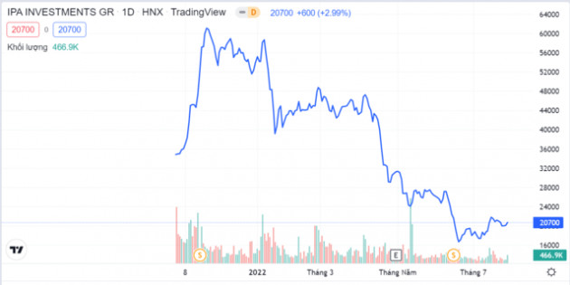 Hơn 35,6 triệu cổ phiếu Đầu tư I.P.A được niêm yết bổ sung ngày 3/8 - Ảnh 1.