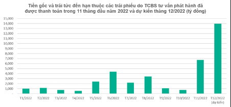 Hơn 400 mã trái phiếu do TCBS tư vấn phát hành được thanh toán - Ảnh 1.