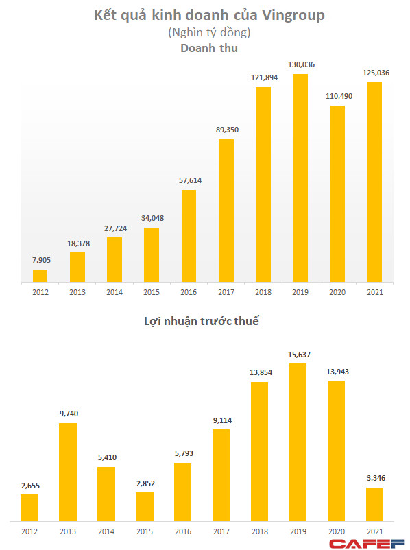 Hơn 5 tỷ USD doanh thu của Vingroup đến từ đâu? - Ảnh 1.