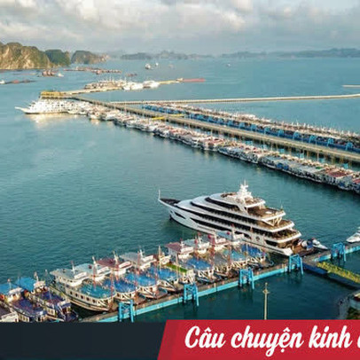 Hơn 500 chủ tàu du lịch Hạ Long kêu cứu Thủ tướng sau thời gian dài điêu đứng vì dịch, đứng trước nguy cơ phá sản