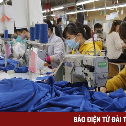 Hơn 58.000 doanh nghiệp TP Hồ Chí Minh nợ bảo hiểm xã hội