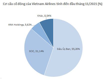 Hơn 796 triệu cổ phiếu HVN của Vietnam Airlines sắp giao dịch bổ sung trên HoSE - Ảnh 1.