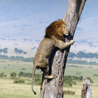 Hơn 830 mã chìm trong sắc đỏ, đâu là tác nhân chính khiến VN-Index giảm sâu nhất trong phiên 20/4?