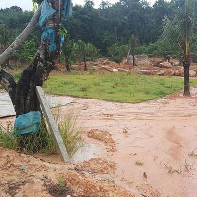 Hỗn loạn phân lô, chia đất