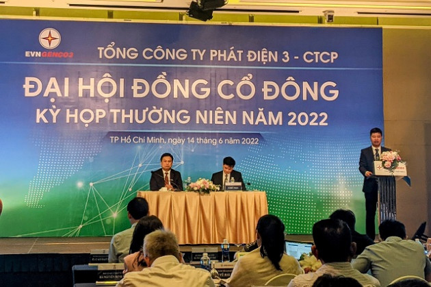 Họp ĐHĐCĐ EVNGENCO3: EVN có thể thoái vốn từ 2023, duy trì tỷ lệ chi phối trên 51% - Ảnh 1.