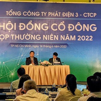 Họp ĐHĐCĐ EVNGENCO3: EVN có thể thoái vốn từ 2023, duy trì tỷ lệ chi phối trên 51%