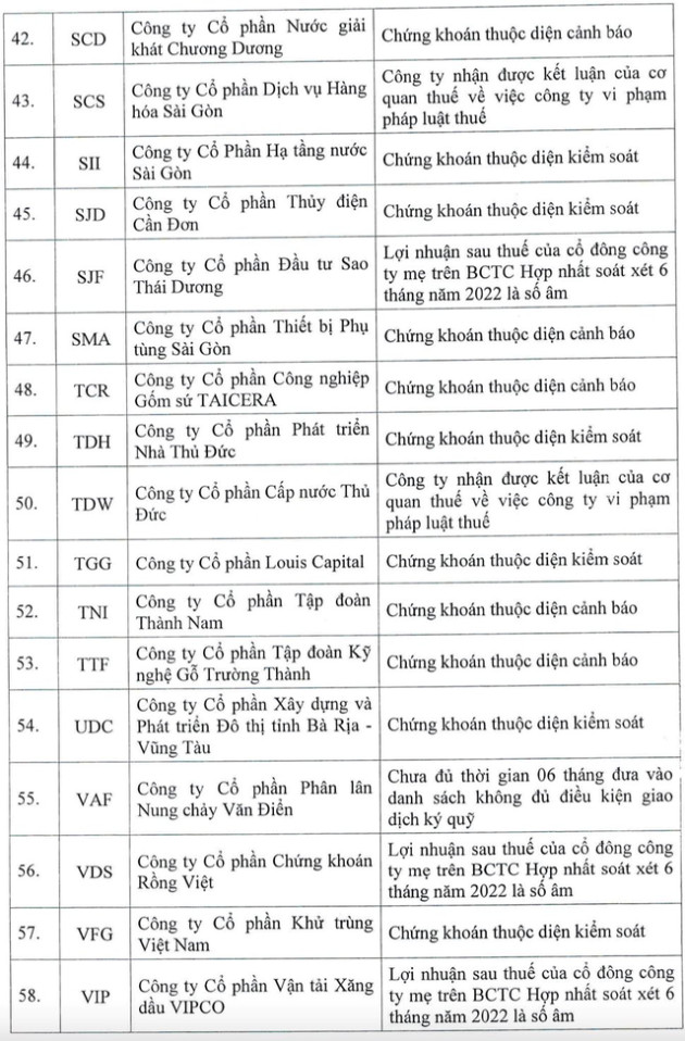 HoSE cắt margin với 62 mã chứng khoán trong quý 4/2022, bao gồm FLC, HAG, HVN, LHG, TGG, TDH, ITA,... - Ảnh 4.