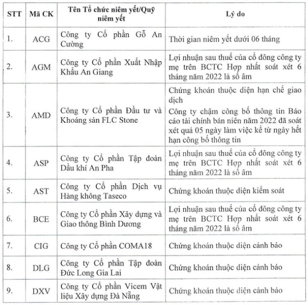 HoSE công bố 65 mã chứng khoán bị cắt margin trong quý 1/2023 - Ảnh 1.