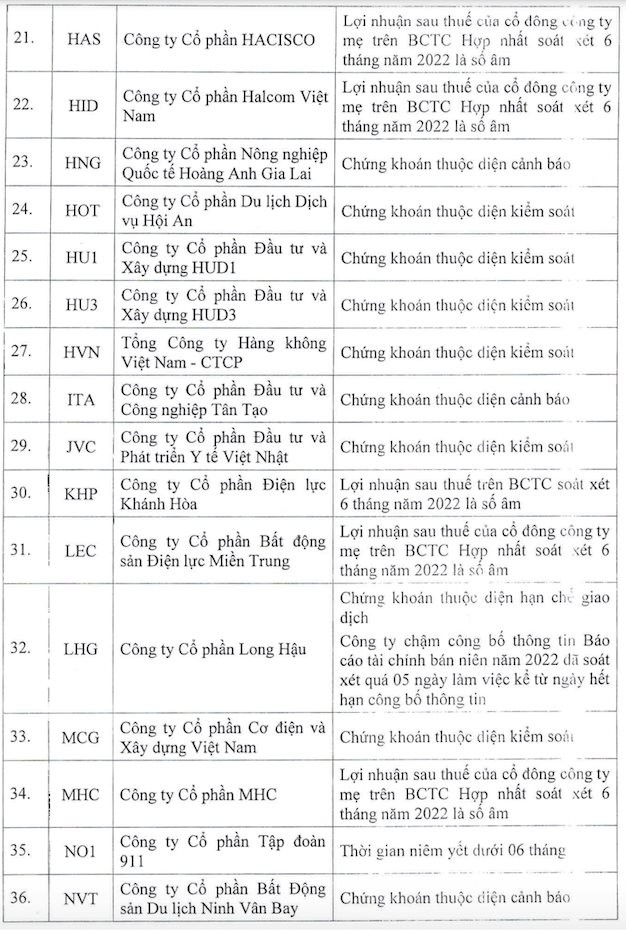 HoSE công bố 65 mã chứng khoán bị cắt margin trong quý 1/2023 - Ảnh 3.