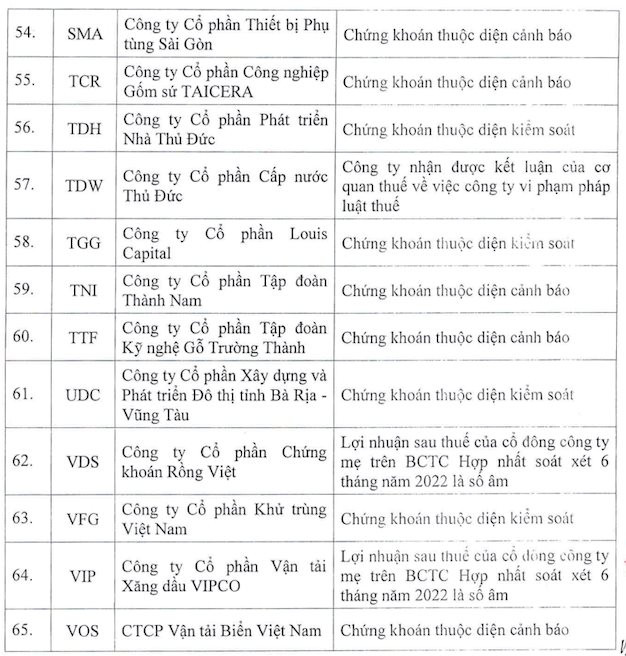 HoSE công bố 65 mã chứng khoán bị cắt margin trong quý 1/2023 - Ảnh 5.