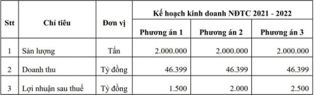 HSG đặt kế hoạch lợi nhuận sau thuế từ 1.500 đến 2.500 tỷ đồng trong NĐTC 2021 - 2022 - Ảnh 1.