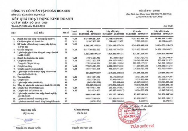 HSG: Lãi sau thuế NĐTC 2019-2020 đạt 1.151 tỷ đồng, lớn gấp 3,2 lần so với NĐTC 2018-2019 - Ảnh 1.