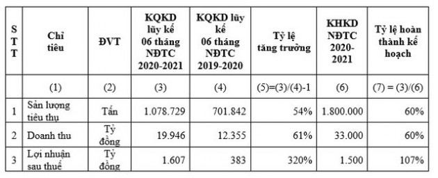 HSG: Quý II NĐTC 2020-2021 lợi nhuận sau thuế 1.035 tỷ đồng, lũy kế 6 tháng đạt 1.607 tỷ đồng - Ảnh 2.