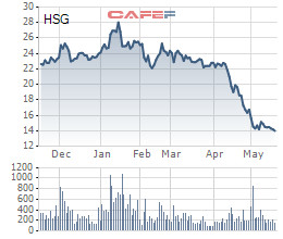 HSG xuống đáy 2 năm, công ty của vợ ông Lê Phước Vũ vẫn quyết bán sạch 19 triệu cổ phiếu còn lại - Ảnh 1.