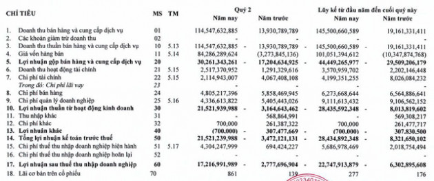 HUDLAND (HLD): Quý 2 lãi 17 tỷ đồng, cao gấp 6 lần cùng kỳ - Ảnh 1.