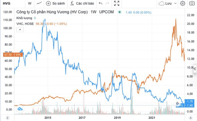 Hùng Vương (HVG) bị đình chỉ giao dịch: Từ “vua cá tra” với thị giá ăn đứt Vĩnh Hoàn đến sự sụp đổ trong chớp mắt do “nổ bom” vay nợ - Ảnh 1.