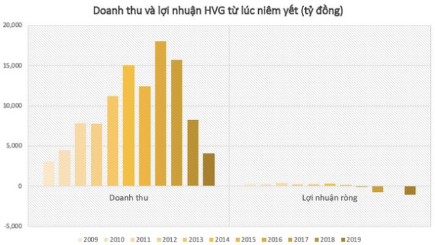 Hùng Vương (HVG) bị đình chỉ giao dịch: Từ “vua cá tra” với thị giá ăn đứt Vĩnh Hoàn đến sự sụp đổ trong chớp mắt do “nổ bom” vay nợ - Ảnh 3.