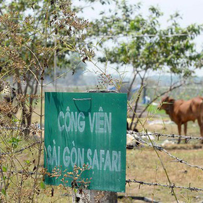 Huyện Củ Chi kiến nghị dừng dự án Sài Gòn Safari chuyển thành Khu công nghiệp kỹ thuật cao