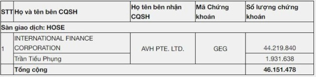 IFC “chia tay” Điện Gia Lai (GEG), một tổ chức nước ngoài nâng sở hữu lên trên 35% - Ảnh 1.