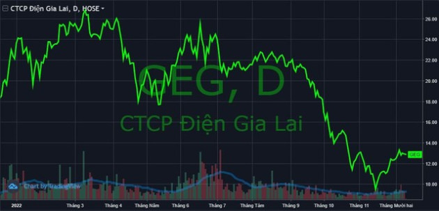 IFC “chia tay” Điện Gia Lai (GEG), một tổ chức nước ngoài nâng sở hữu lên trên 35% - Ảnh 2.