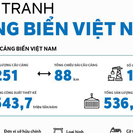 Infographic: Bức tranh cảng biển Việt Nam