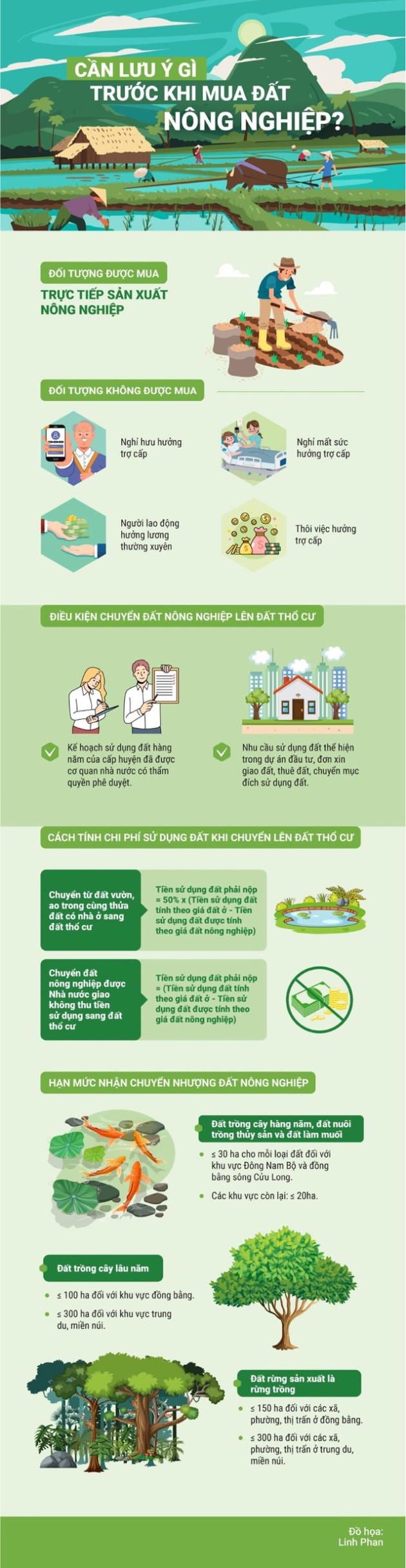 [Infographic] Cần lưu ý gì trước khi mua đất nông nghiệp - Ảnh 1.