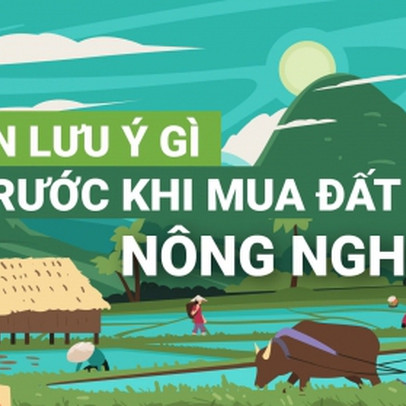 [Infographic] Cần lưu ý gì trước khi mua đất nông nghiệp