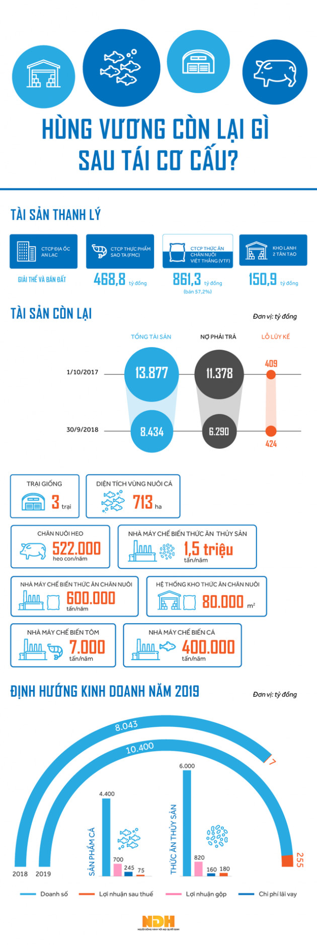 [Infographic] Hùng Vương còn lại gì sau tái cơ cấu?