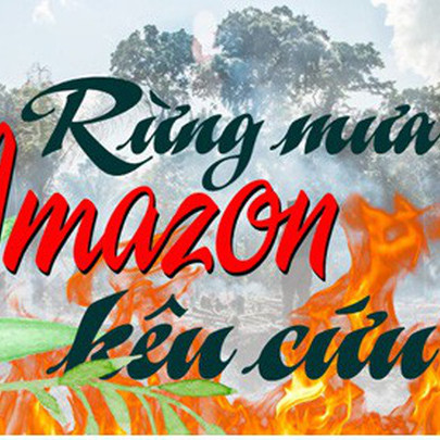 Infographic: Rừng mưa Amazon - "lá phổi xanh" của hành tinh kêu cứu