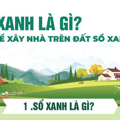 [Infographic] Sổ xanh là gì? Có thể xây nhà trên đất sổ xanh?