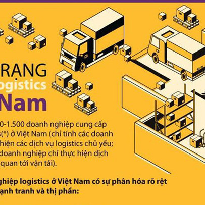 [Infographics] Hiện trạng ngành logistics tại Việt Nam