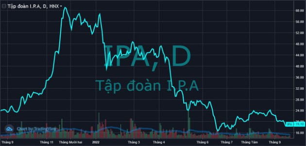 IPA dự kiến tăng vốn gấp đôi, “bơm” 1.600 tỷ đồng mua Bảo hiểm PTI - Ảnh 1.