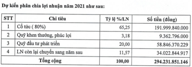 KCN Nam Tân Uyên (NTC) dự kiến chia cổ tức năm 2021 tỷ lệ 80% - Ảnh 2.