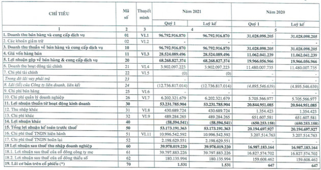 KCN Tín Nghĩa (TIP): Lợi nhuận Q1/2021 trưởng 135%, lên kế hoạch tăng vốn lên 1.000 tỷ đồng để phát triển dự án trong nhiều năm tới - Ảnh 1.