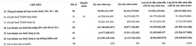 KCN Tín Nghĩa (TIP): Quý 2/2021 lãi 100 tỷ đồng trước thuế nhưng vẫn lỗ 16 tỷ đồng sau khi trừ thuế - Ảnh 2.