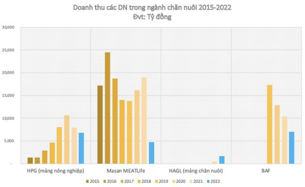 Kết lại năm 2022 nuôi heo của các đại gia: ThaiHoldings nhảy vào đúng lúc thị trường xuống, Hoà Phát năm thứ 3 tăng trưởng âm, Dabaco và BaF bất ngờ báo lỗ - Ảnh 1.