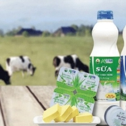 Kết quả kinh doanh cao nhất 3 quý, GTNfoods vẫn mới chỉ hoàn thành 20% kế hoạch lợi nhuận 2019