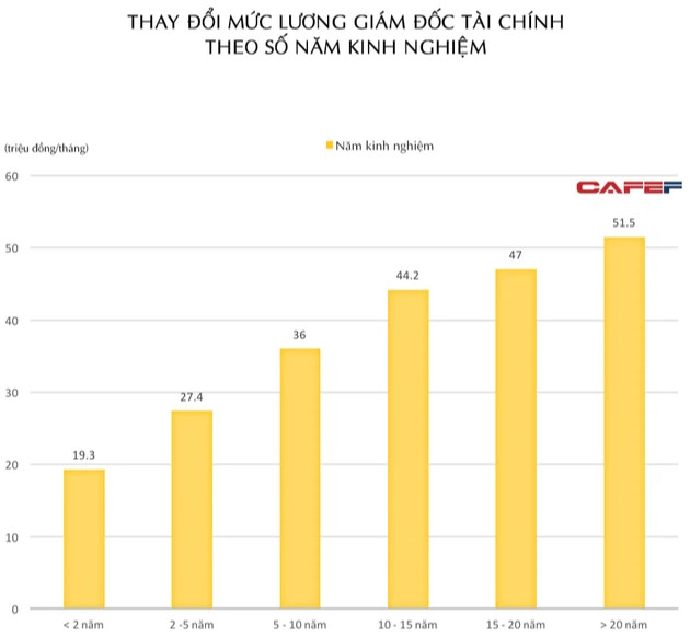 Khác biệt lương CFO tại doanh nghiệp Việt Nam ra sao?