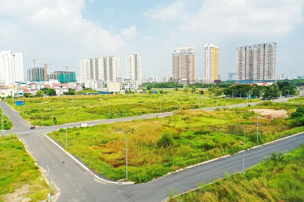 Khách hàng đỏ mắt vì doanh nghiệp bán ‘lúa’ non - Ảnh 3. Khách hàng đỏ mắt vì doanh nghiệp bán ‘lúa’ non - Ảnh 3.