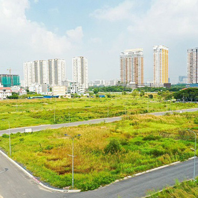 Khách hàng đỏ mắt vì doanh nghiệp bán ‘lúa’ non