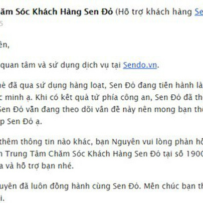 Khách tố hàng ngàn thẻ nạp tiền mua từ Sendo.vn bị mất 300 triệu đồng