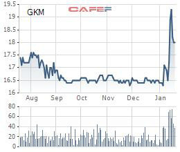 Khang Minh Group (GKM): Kỳ vọng lớn từ dòng đá ốp cao cấp thạch anh - Ảnh 2.