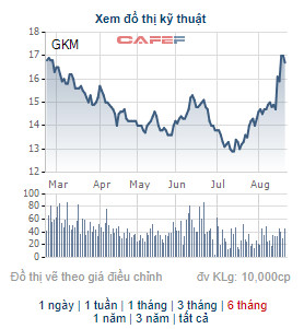 Khang Minh Group (GKM) phát hành hơn 7 triệu cổ phiếu chào bán cho cổ đông hiện hữu - Ảnh 1.