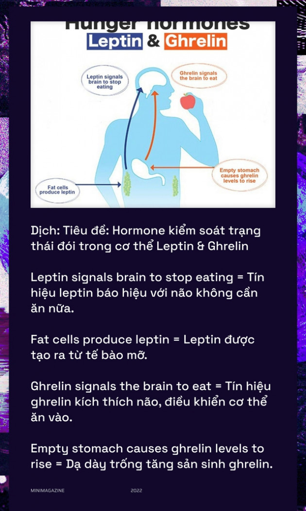 Khi bạn đói, não bộ có thể bật chế độ tiết kiệm pin và giảm độ phân giải thị giác của bạn xuống - Ảnh 11.