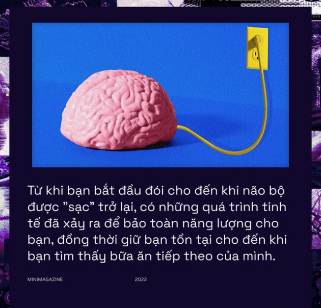 Khi bạn đói, não bộ có thể bật chế độ tiết kiệm pin và giảm độ phân giải thị giác của bạn xuống - Ảnh 14.