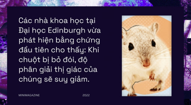 Khi bạn đói, não bộ có thể bật chế độ tiết kiệm pin và giảm độ phân giải thị giác của bạn xuống - Ảnh 2.