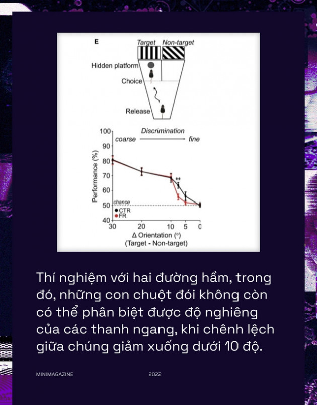 Khi bạn đói, não bộ có thể bật chế độ tiết kiệm pin và giảm độ phân giải thị giác của bạn xuống - Ảnh 9.